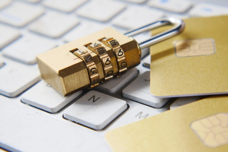 The Role of Tamil Eelam Cyber Force in Digital Safety