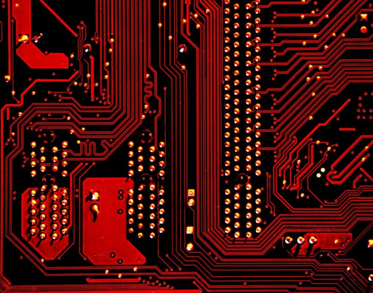 How the Tamil Cyberspace Stays Protected