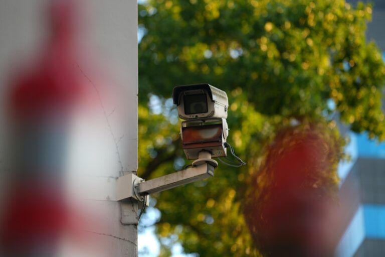 The Challenges of Protecting Tamil Digital Spaces